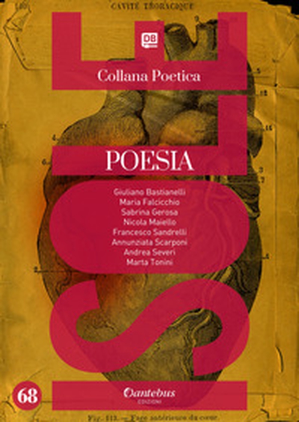 Isole. Collana poetica - Librerie.coop Isole. Collana poetica - Librerie.coop