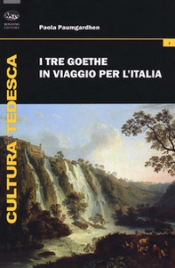 I tre Goethe in viaggio per l'Italia - Librerie.coop