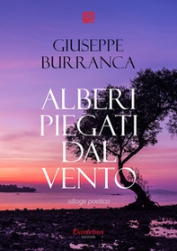 Alberi piegati dal vento - Librerie.coop