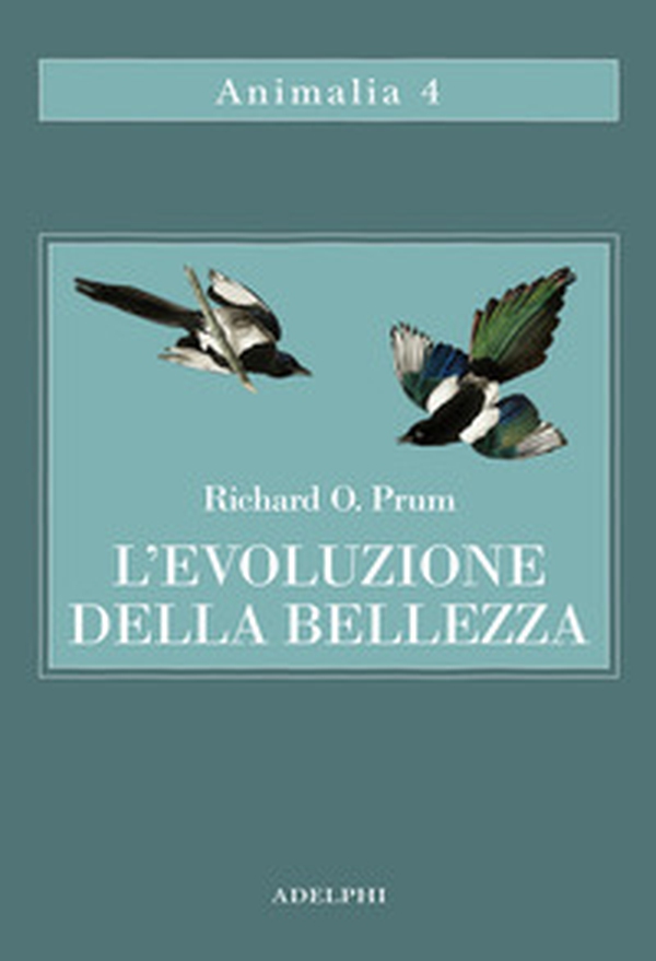 L'evoluzione della bellezza. La teoria dimenticata di Darwin - Librerie.coop L'evoluzione della bellezza. La teoria dimenticata di Darwin - Librerie.coop