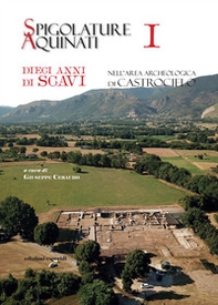 Spigolature Aquinati. Dieci anni di scavi nell'area archeologica di Castrocielo - Librerie.coop
