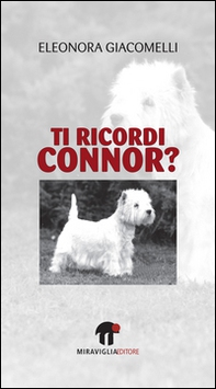 Ti ricordi Connor? - Librerie.coop Ti ricordi Connor? - Librerie.coop