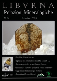 Relazioni mineralogiche. Libvrna - Vol. 14 - Librerie.coop