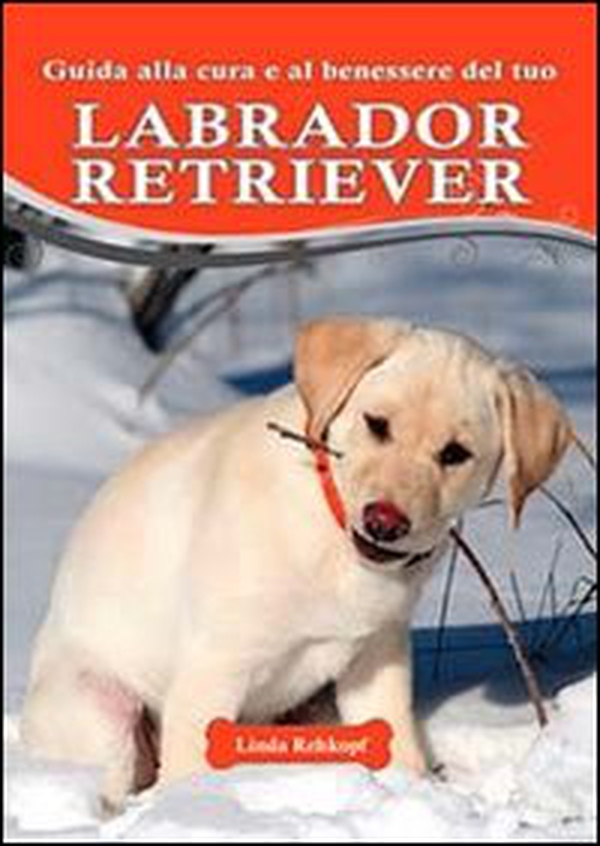Guida alla cura e al benessere del tuo labrador retriever - Librerie.coop Guida alla cura e al benessere del tuo labrador retriever - Librerie.coop