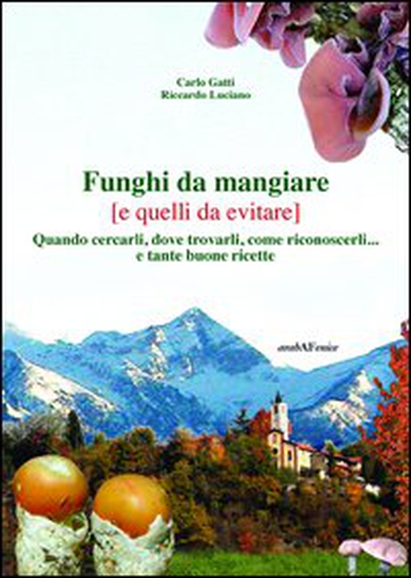 Funghi da mangiare e quelli da evitare. Quando cercarli, dove trovarli, come riconoscerli... e tante buone ricette - Librerie.coop Funghi da mangiare e quelli da evitare. Quando cercarli, dove trovarli, come riconoscerli... e tante buone ricette - Librerie.coop