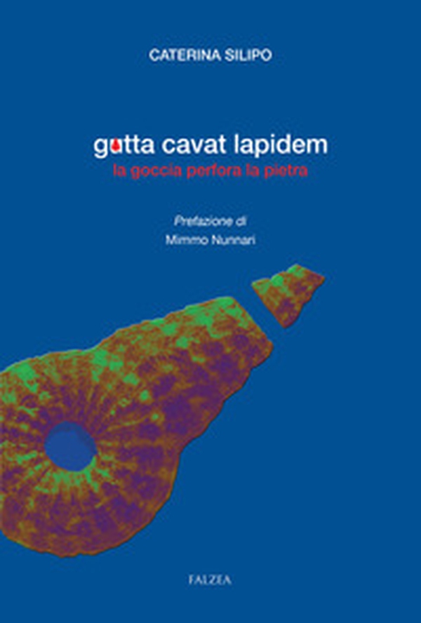Gutta cavat lapidem. La goccia perfora la pietra - Librerie.coop Gutta cavat lapidem. La goccia perfora la pietra - Librerie.coop