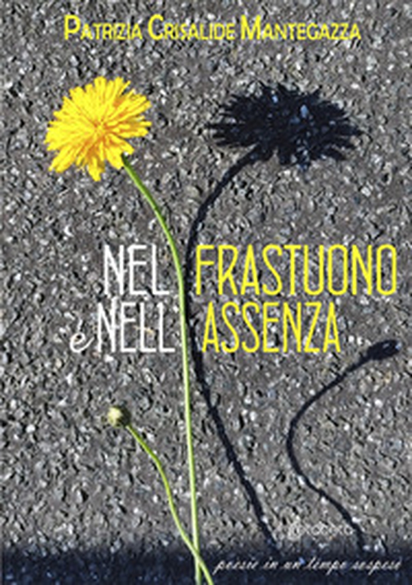 Nel frastuono e nell'assenza. Poesie in un tempo sospeso - Librerie.coop