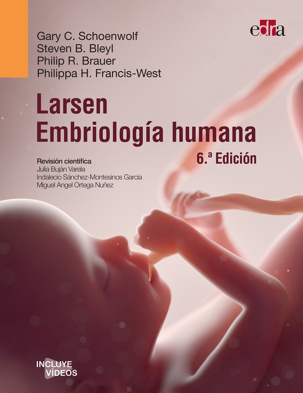 Larsen. Embriología humana, 6.ª ed. - Librerie.coop Larsen. Embriología humana, 6.ª ed. - Librerie.coop