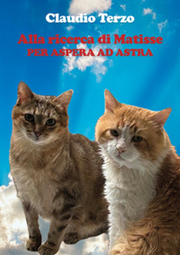 Alla ricerca di Matisse. Per aspera ad astra - Librerie.coop