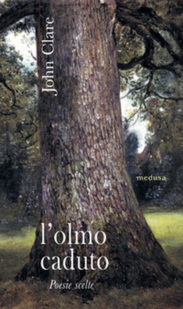 L'olmo caduto. Poesie scelte - Librerie.coop L'olmo caduto. Poesie scelte - Librerie.coop