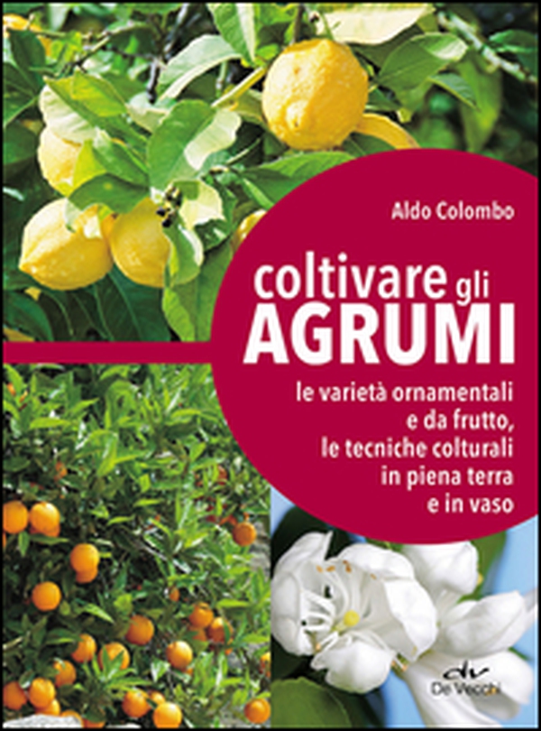 Coltivare gli agrumi. Le varietà ornamentali e da frutto, le tecniche colturali in piena terra e in vaso - Librerie.coop Coltivare gli agrumi. Le varietà ornamentali e da frutto, le tecniche colturali in piena terra e in vaso - Librerie.coop