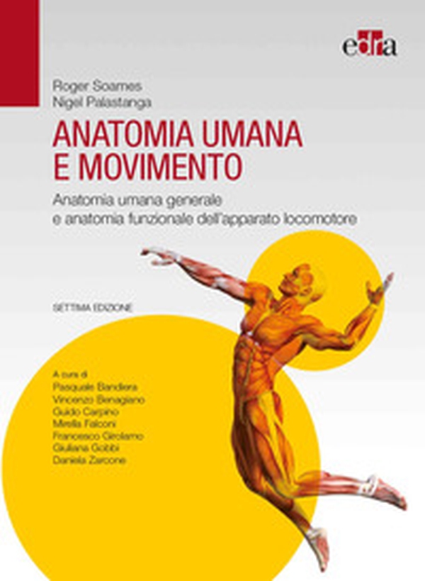 Anatomia umana e movimento. Anatomia umana generale e anatomia funzionale dell'apparato locomotore - Librerie.coop Anatomia umana e movimento. Anatomia umana generale e anatomia funzionale dell'apparato locomotore - Librerie.coop