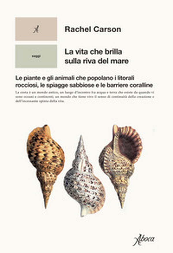 La vita che brilla sulla riva del mare. Le piante e gli animali che popolano i litorali rocciosi, le spiagge sabbiose e le barriere coralline - Librerie.coop La vita che brilla sulla riva del mare. Le piante e gli animali che popolano i litorali rocciosi, le spiagge sabbiose e le barriere coralline - Librerie.coop