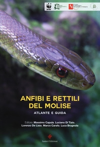 Anfibi e rettili del Molise. Atlante e guida - Librerie.coop