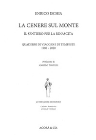 La cenere sul monte. Il sentiero per la rinascita. Quaderni di viaggio e di tempeste (1980-2020) - Librerie.coop