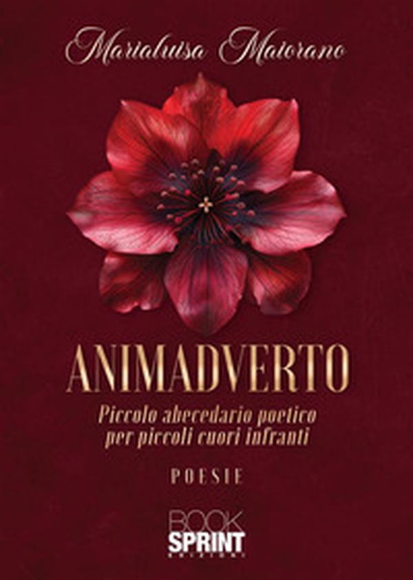 Animadverto. Piccolo abecedario poetico per piccoli cuori infranti - Librerie.coop Animadverto. Piccolo abecedario poetico per piccoli cuori infranti - Librerie.coop