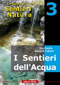 I sentieri dell'acqua. 40 itinerari escursionistici alla scoperta delle acque della montagna friulana - Librerie.coop