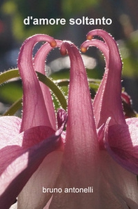 D'amore soltanto - Librerie.coop