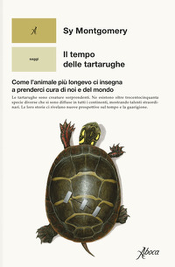 Il tempo delle tartarughe. Come l'animale più longevo ci insegna a prenderci cura di noi e del mondo - Librerie.coop Il tempo delle tartarughe. Come l'animale più longevo ci insegna a prenderci cura di noi e del mondo - Librerie.coop