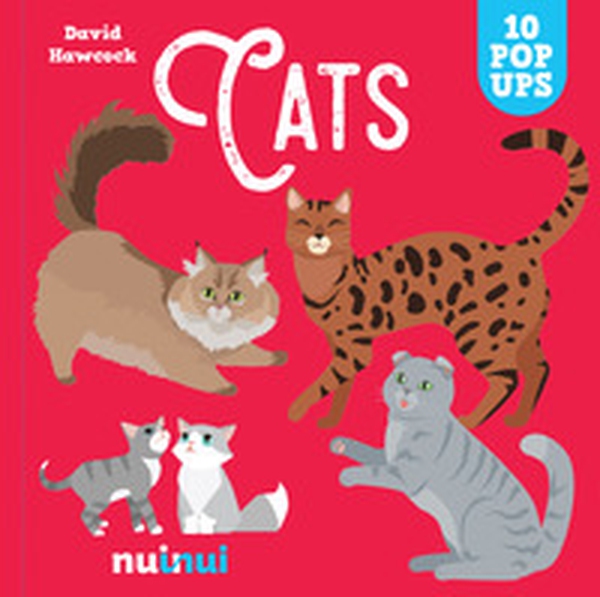 Cats - Librerie.coop Cats - Librerie.coop