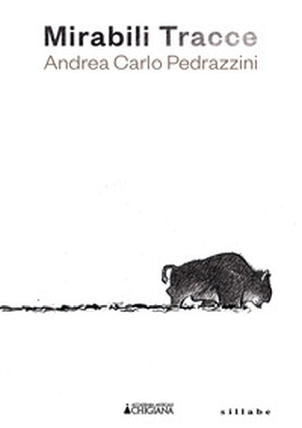 Mirabili tracce. Andrea Carlo Pedrazzini - Librerie.coop Mirabili tracce. Andrea Carlo Pedrazzini - Librerie.coop