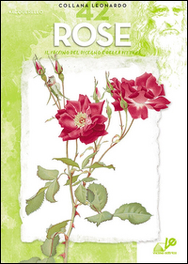 Rose - Librerie.coop Rose - Librerie.coop