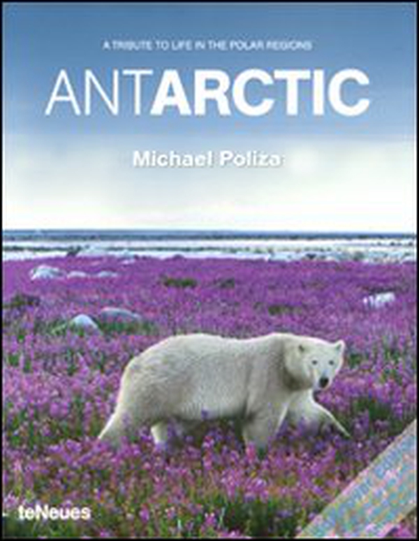Antarctic. A tribute to life in the polar regions - Librerie.coop Antarctic. A tribute to life in the polar regions - Librerie.coop