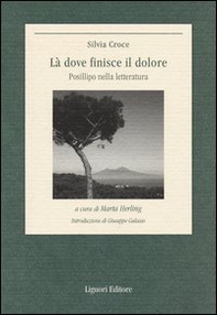 Là dove finisce il dolore. Posillipo nella letteratura - Librerie.coop