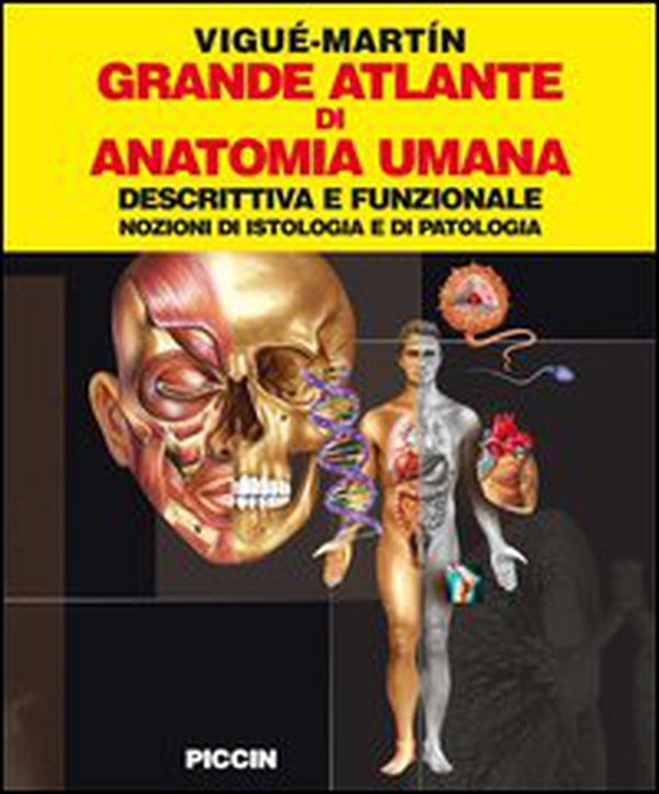 Grande atlante di anatomia umana. Descrittiva e funzionale. Nozioni di istologia e patologia - Librerie.coop Grande atlante di anatomia umana. Descrittiva e funzionale. Nozioni di istologia e patologia - Librerie.coop