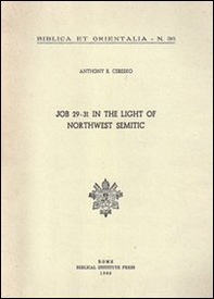 Job 29-31 in the light of northwest semitic. A translation and philological commentary - Librerie.coop