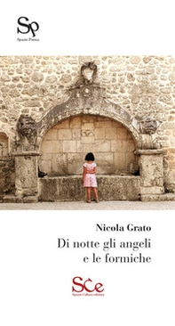 Di notte gli angeli e le formiche - Librerie.coop
