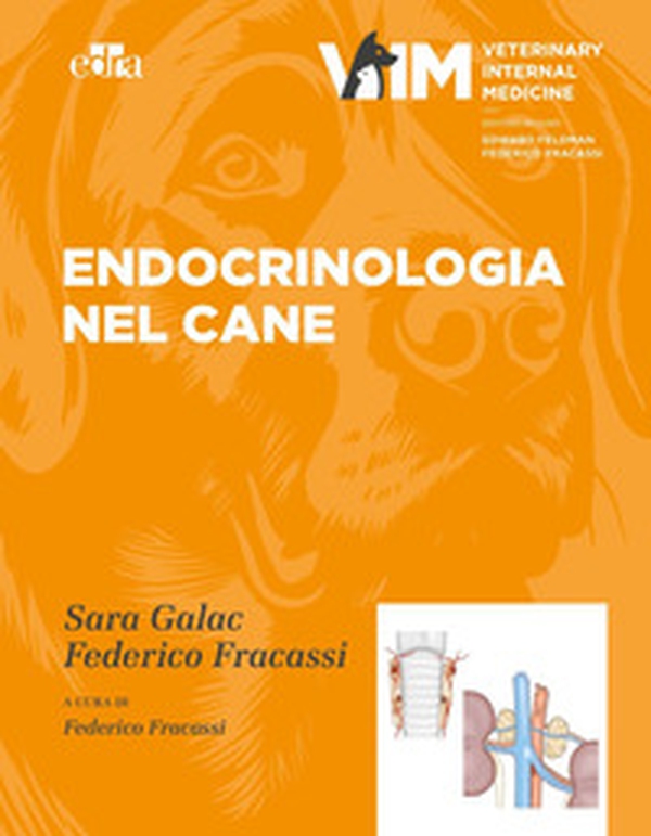Endocrinologia nel cane - Librerie.coop