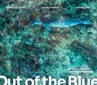 Out of the blue. La foca monaca nel Mediterraneo. Ediz. italiana e inglese - Librerie.coop Out of the blue. La foca monaca nel Mediterraneo. Ediz. italiana e inglese - Librerie.coop