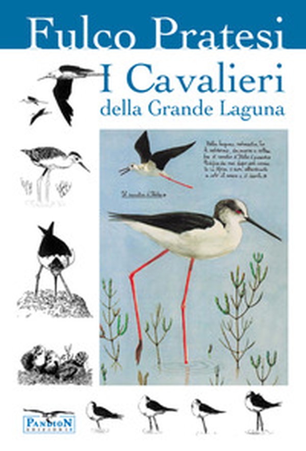I cavalieri della grande laguna - Librerie.coop I cavalieri della grande laguna - Librerie.coop