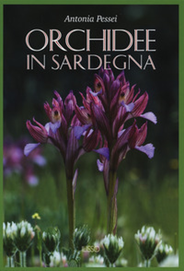 Orchidee in Sardegna - Librerie.coop Orchidee in Sardegna - Librerie.coop