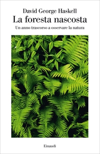 La foresta nascosta - Librerie.coop La foresta nascosta - Librerie.coop