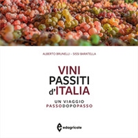 Vini passiti d'Italia. Un viaggio passo dopo passo - Librerie.coop