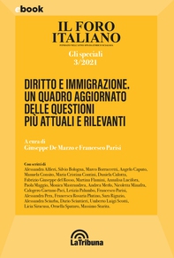 Diritto e immigrazione. Un quadro aggiornato delle questioni più attuali e rilevanti - Librerie.coop Diritto e immigrazione. Un quadro aggiornato delle questioni più attuali e rilevanti - Librerie.coop