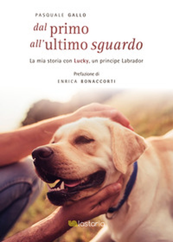 Dal primo all'ultimo sguardo - Librerie.coop Dal primo all'ultimo sguardo - Librerie.coop
