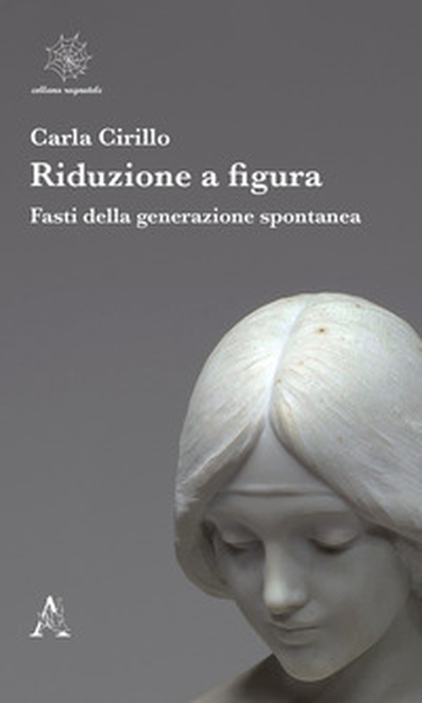 Riduzione a figura. Fasti della generazione spontanea - Librerie.coop Riduzione a figura. Fasti della generazione spontanea - Librerie.coop