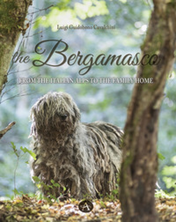 The bergamasco. From the Italian Alps to the family home - Librerie.coop The bergamasco. From the Italian Alps to the family home - Librerie.coop