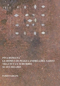Pisa romana. Le domus di piazza Andrea del Sarto tra città e suburbio (scavi 2022-2023) - Librerie.coop