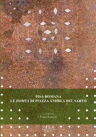 Pisa romana. Le domus di piazza Andrea del Sarto tra città e suburbio (scavi 2022-2023) - Librerie.coop