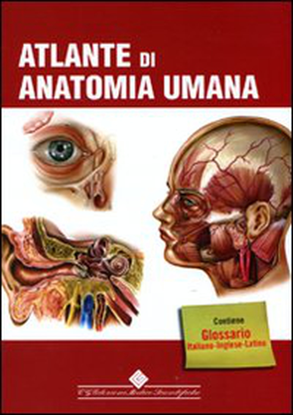 Atlante di anatomia umana - Librerie.coop