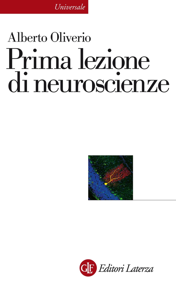 Prima lezione di neuroscienze - Librerie.coop Prima lezione di neuroscienze - Librerie.coop