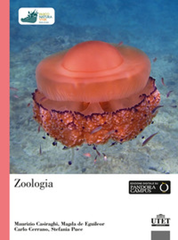 Zoologia - Librerie.coop Zoologia - Librerie.coop
