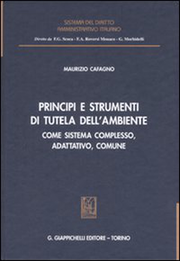 Principi e strumenti di tutela dell'ambiente. Come sistema complesso, adattativo, comune - Librerie.coop Principi e strumenti di tutela dell'ambiente. Come sistema complesso, adattativo, comune - Librerie.coop