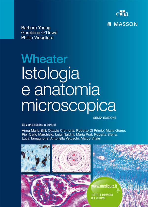 Weather, Istologia e anatomia microscopica - Librerie.coop Weather, Istologia e anatomia microscopica - Librerie.coop