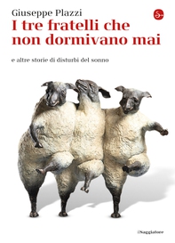 I tre fratelli che non dormivano mai - Librerie.coop I tre fratelli che non dormivano mai - Librerie.coop