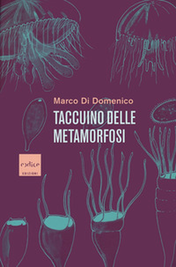 Taccuino delle metamorfosi - Librerie.coop Taccuino delle metamorfosi - Librerie.coop